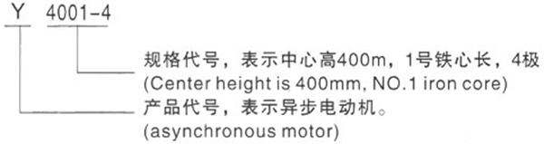 西安泰富西玛Y系列(H400-500)380V低压大功率三相异步电动机型号说明